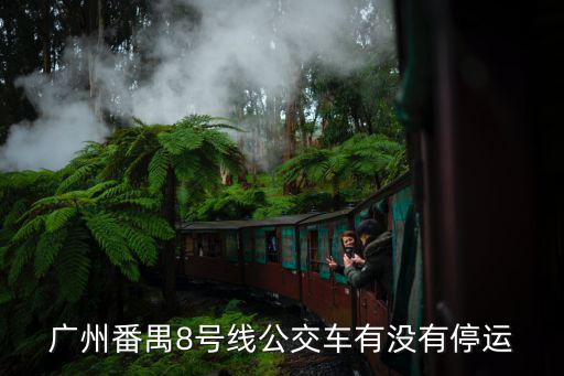 廣州番禺8號(hào)線公交車(chē)有沒(méi)有停運(yùn)
