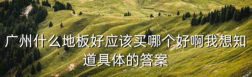 廣州什么地板好應該買哪個好啊我想知道具體的答案