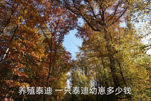 養殖泰迪 一只泰迪幼崽多少錢