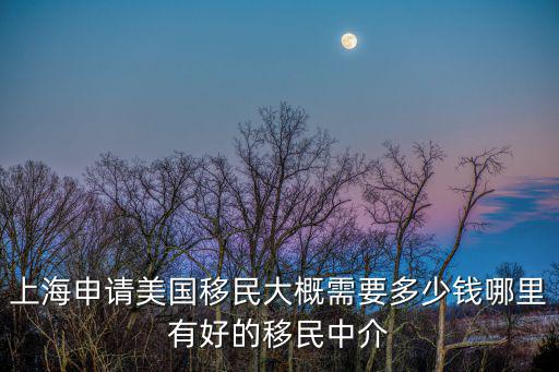 上海申請美國移民大概需要多少錢哪里有好的移民中介