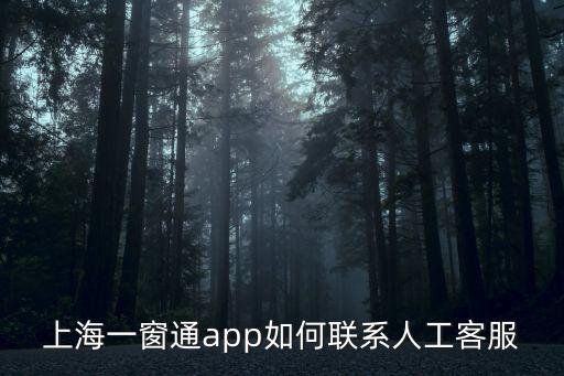 上海一窗通app如何聯系人工客服