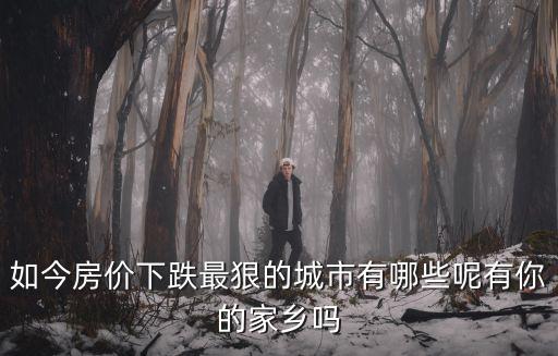 如今房價下跌最狠的城市有哪些呢有你的家鄉嗎