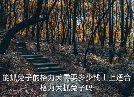 抓兔子狗多少錢，捉兔子的狗在多少錢一個