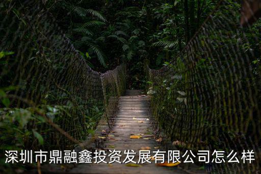 深圳市鼎融鑫投資發展有限公司怎么樣