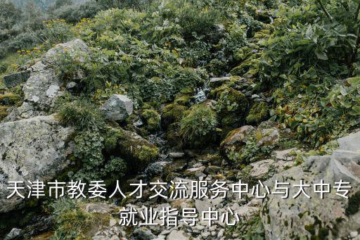 天津市教委人才交流服務中心與大中專就業(yè)指導中心
