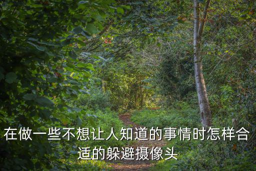 在做一些不想讓人知道的事情時怎樣合適的躲避攝像頭