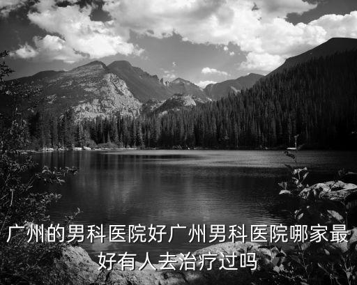 廣州的男科醫(yī)院好廣州男科醫(yī)院哪家最好有人去治療過嗎