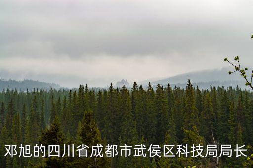 成都市衛健委科技信息處王，成都盛佳威餐飲有限公司是騙子公司嗎