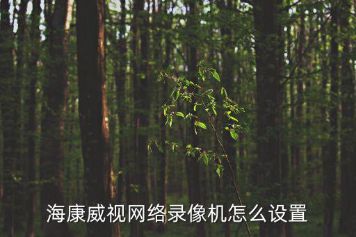 兩臺海康威視錄像機怎么弄成一臺，怎么將兩個視頻做成一個