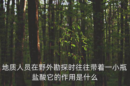 廣州地質勘察何發光，請問廣州地質探礦大隊的電話是多少地址又在哪里