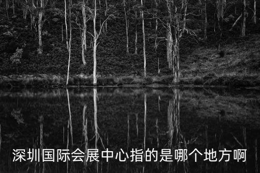 深圳國際會展中心指的是哪個地方啊