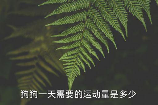 狗狗一天需要的運動量是多少