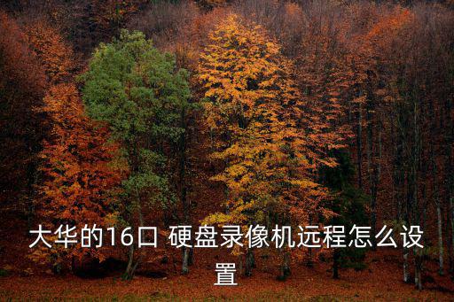 大華的16口 硬盤錄像機遠程怎么設置