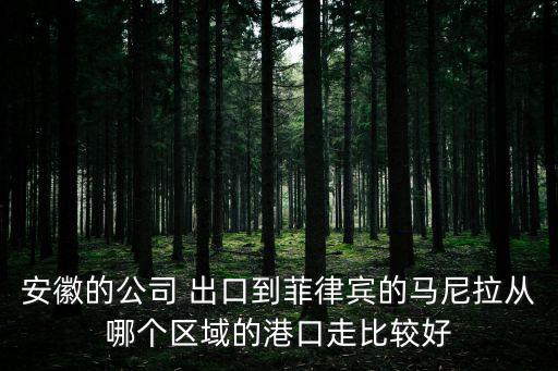 安徽的公司 出口到菲律賓的馬尼拉從哪個區域的港口走比較好
