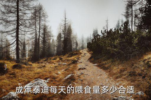 成年泰迪每天的喂食量多少合適