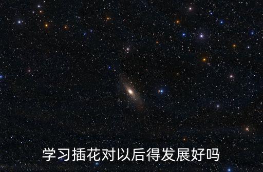 學習插花對以后得發展好嗎
