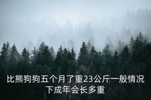 幼犬比熊多少克，比熊能長(zhǎng)多大啊多少斤左右呢