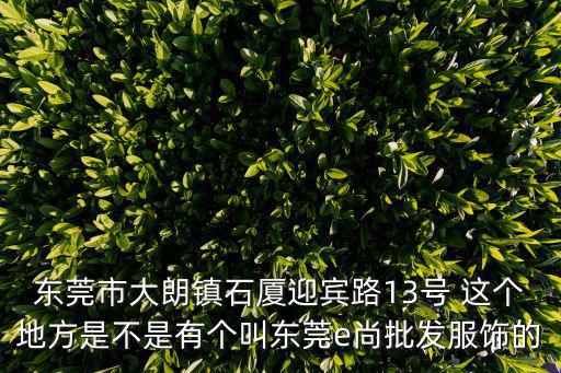 東莞市大朗鎮(zhèn)石廈迎賓路13號 這個地方是不是有個叫東莞e尚批發(fā)服飾的