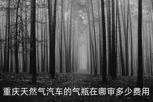 重慶市南岸區汽車燃氣瓶年審，重慶車輛天然氣瓶屬于那個部門年審