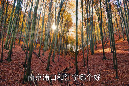 南京浦口和江寧哪個好