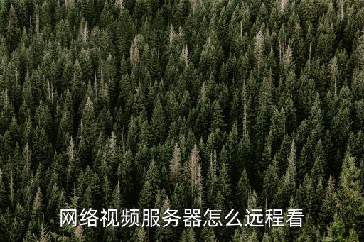 網絡視頻服務器怎么遠程看