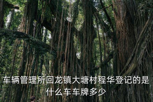 車輛管理所回龍鎮(zhèn)大塘村程華登記的是什么車車牌多少