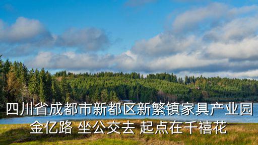 四川省成都市新都區(qū)新繁鎮(zhèn)家具產(chǎn)業(yè)園金億路 坐公交去 起點在千禧花