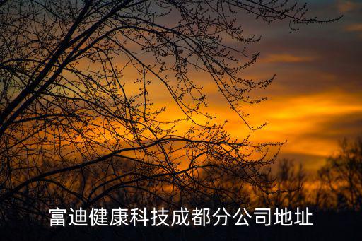 成都市瑞升，是騙子公司嗎地址成都市科華北路36號(hào)建中大廈510號(hào)