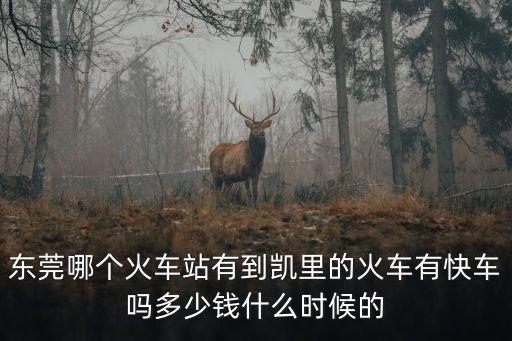 東莞哪個火車站有到凱里的火車有快車嗎多少錢什么時候的