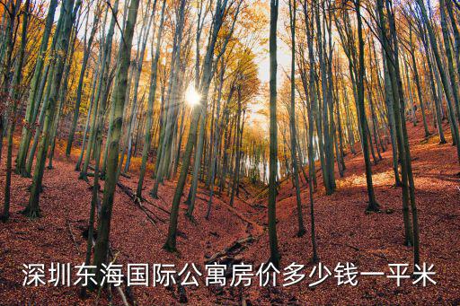 深圳東海國際公寓房價多少錢一平米