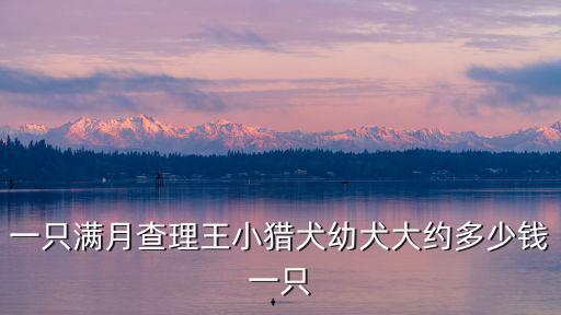 一只滿月查理王小獵犬幼犬大約多少錢(qián)一只