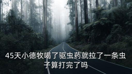 德牧薩寇多少年了，德牧最多能活多少年