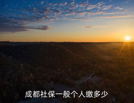 成都社保一般個人繳多少