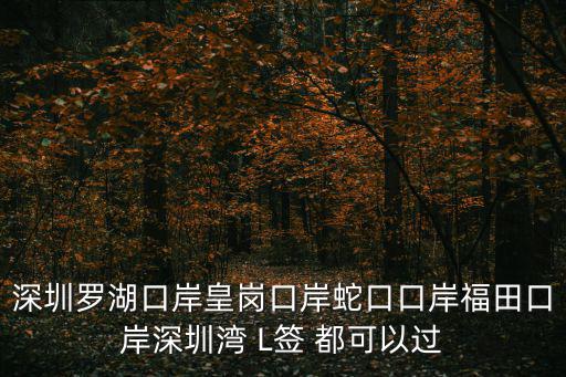 深圳羅湖口岸皇崗口岸蛇口口岸福田口岸深圳灣 L簽 都可以過