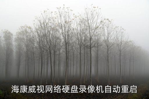 ?？低暰W絡硬盤錄像機自動重啟