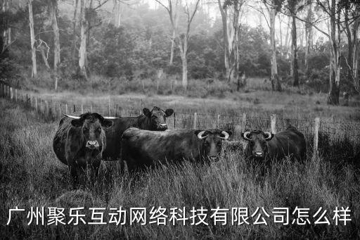 廣州聚樂(lè)互動(dòng)網(wǎng)絡(luò)科技有限公司怎么樣