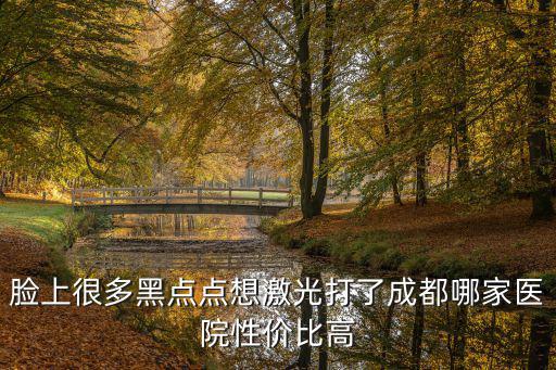 臉上很多黑點點想激光打了成都哪家醫院性價比高