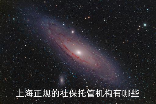 上海正規的社保托管機構有哪些