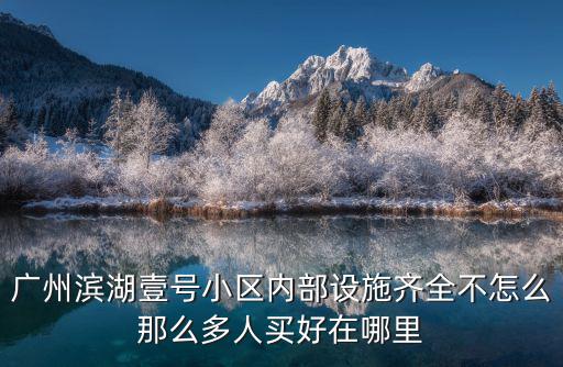 廣州濱湖壹號(hào)小區(qū)內(nèi)部設(shè)施齊全不怎么那么多人買好在哪里