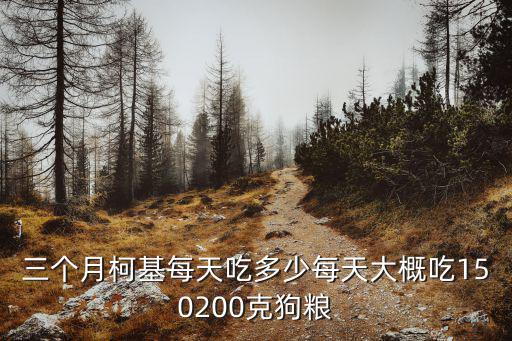 三個(gè)月柯基每天吃多少每天大概吃150200克狗糧