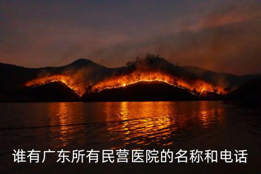 誰(shuí)有廣東所有民營(yíng)醫(yī)院的名稱(chēng)和電話