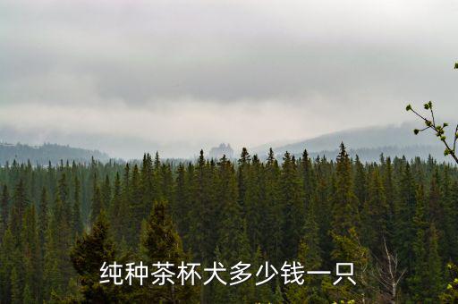 純種茶杯犬多少錢一只