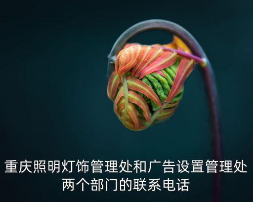 重慶市中光電座機電話多少錢，重慶照明燈飾管理處和廣告設置管理處兩個部門的聯系電話
