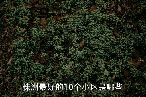 株洲最好的10個小區是哪些