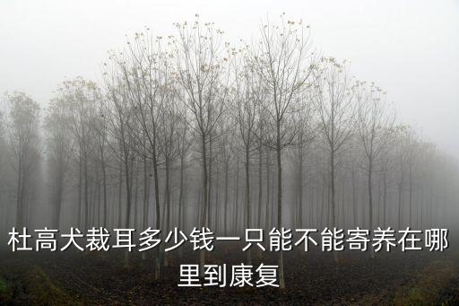 杜高犬裁耳多少錢一只能不能寄養(yǎng)在哪里到康復(fù)