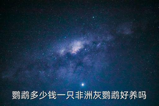 鸚鵡多少錢一只非洲灰鸚鵡好養嗎