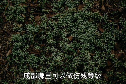 成都哪里可以做傷殘等級