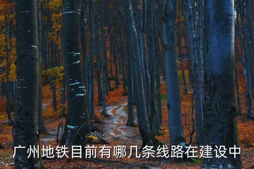 廣州地鐵目前有哪幾條線路在建設(shè)中
