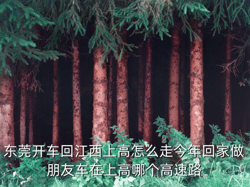 東莞開車回江西上高怎么走今年回家做朋友車在上高哪個(gè)高速路