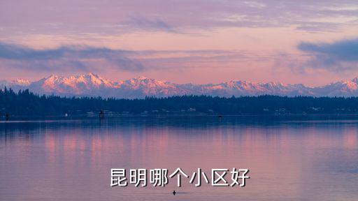 昆明哪個小區好